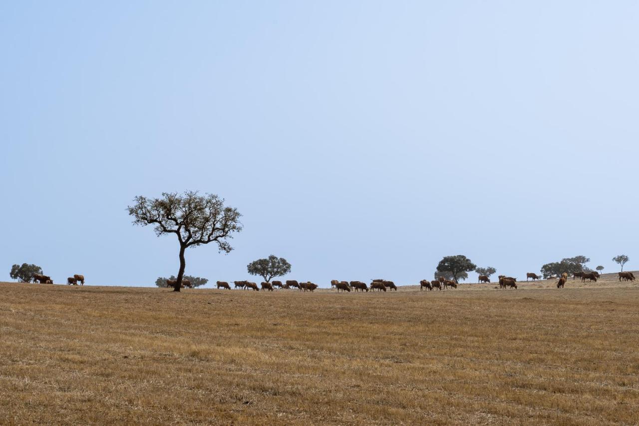 Change The World - Herdade Monte Do Peral Montes Juntos ภายนอก รูปภาพ