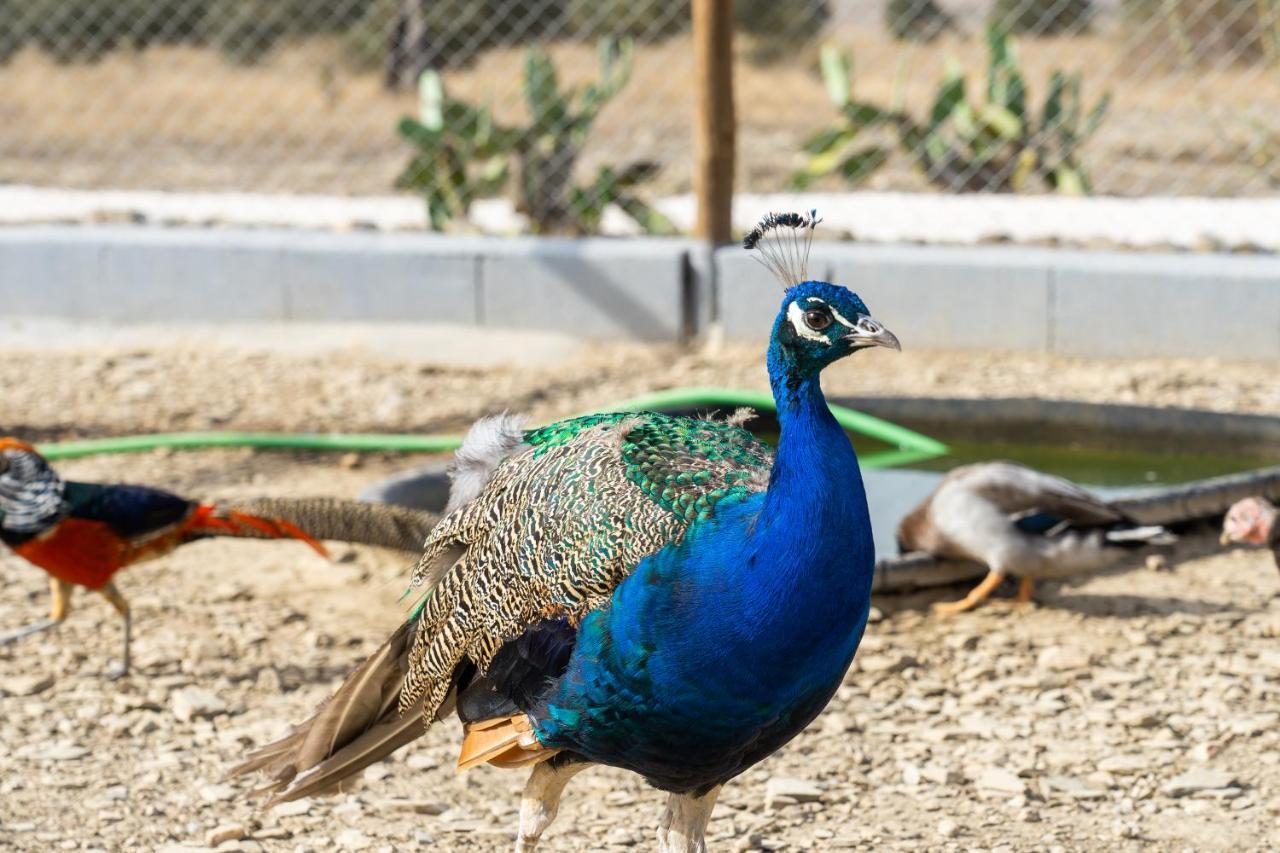 Change The World - Herdade Monte Do Peral Montes Juntos ภายนอก รูปภาพ
