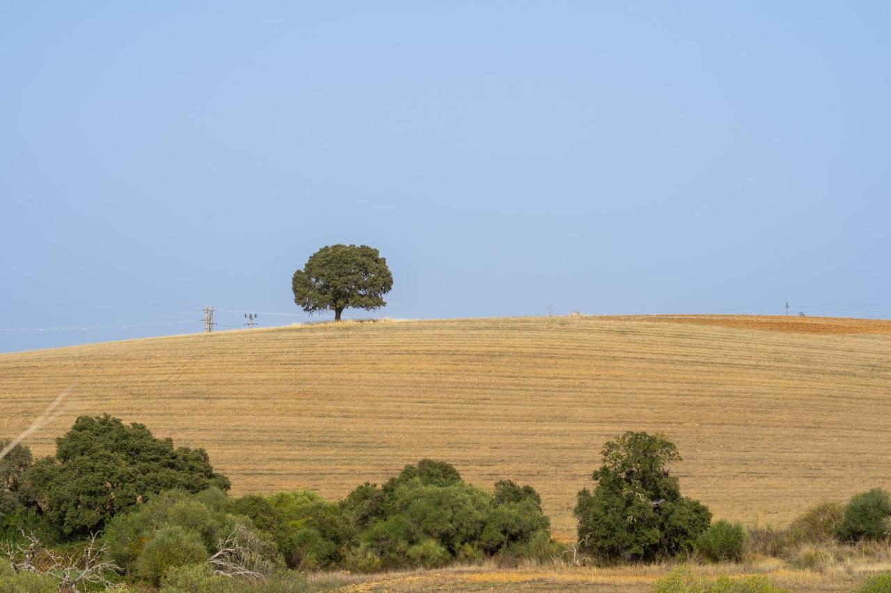 Change The World - Herdade Monte Do Peral Montes Juntos ภายนอก รูปภาพ