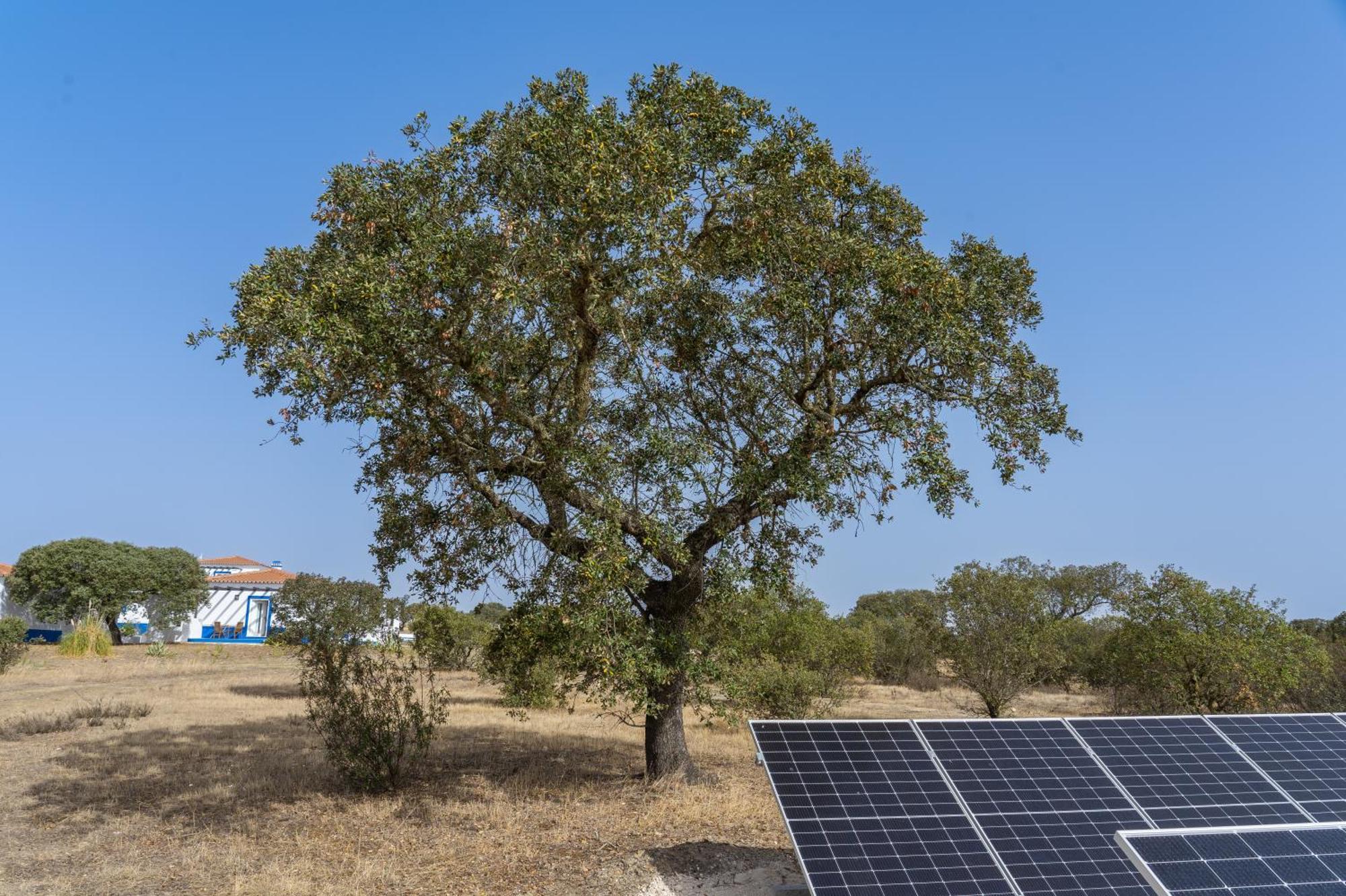 Change The World - Herdade Monte Do Peral Montes Juntos ภายนอก รูปภาพ