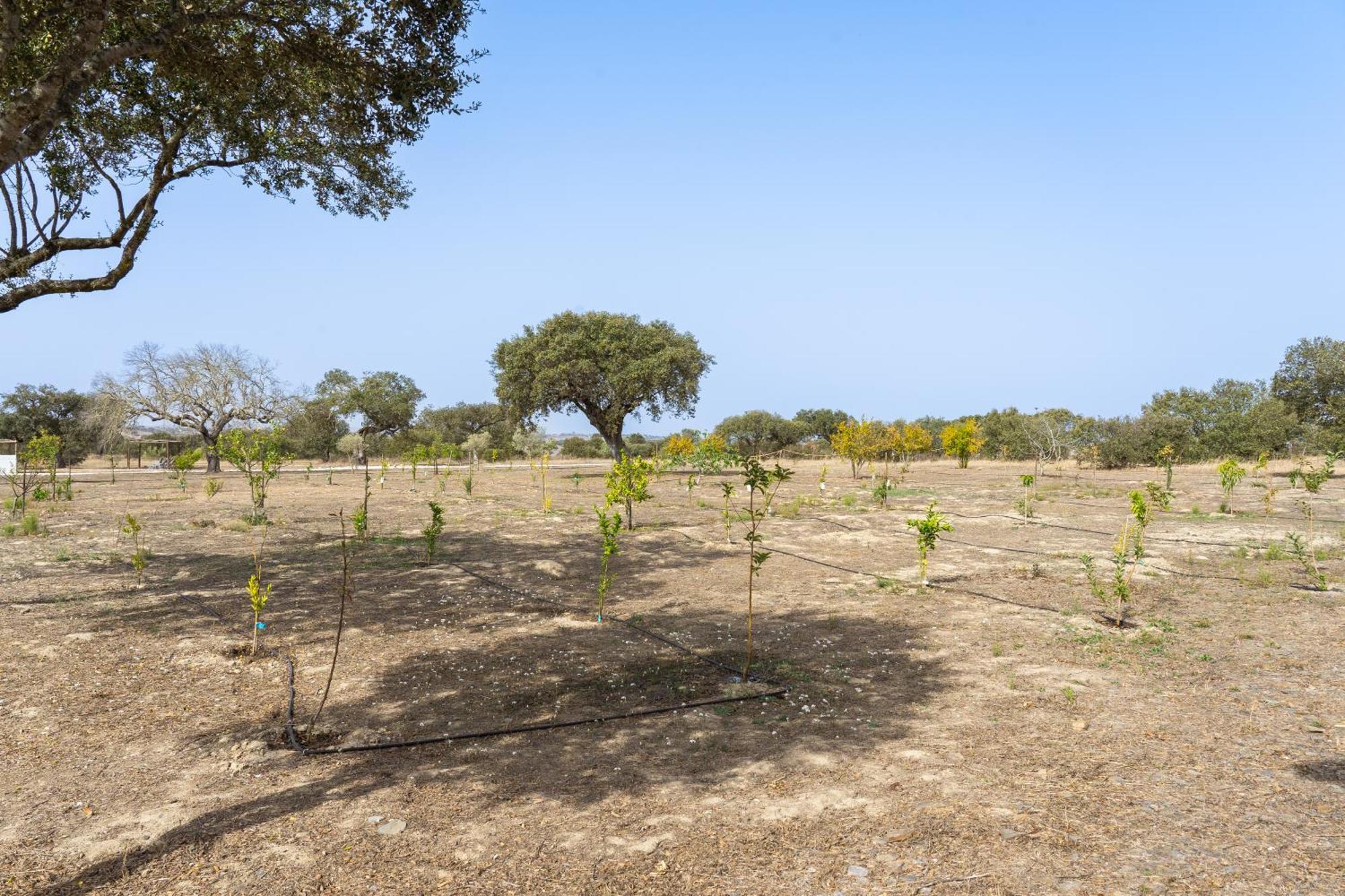 Change The World - Herdade Monte Do Peral Montes Juntos ภายนอก รูปภาพ